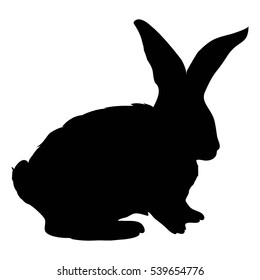 rabbit silhouette-vector, illustration