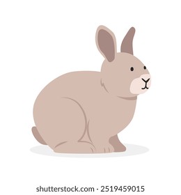 Rabbit simple vector illustration. Bunny rabbit cartoon clipart, animal in flat style. Farm animals concept, rural farming. Livestock animal small rabbit vector design isolated on white background