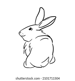 El conejo se sienta con sus ilustraciones del vector dibujadas por la mano en el fondo blanco