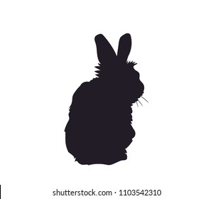 rabbit sits silhouette, vector, white background