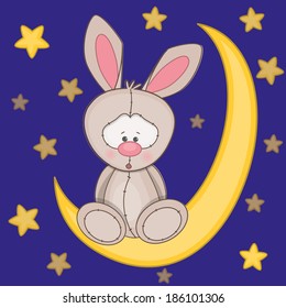 Rabbit sitting on the moon