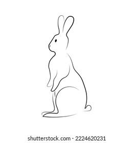 rabbit sitting outline line art isolated on white background, hare for 2023 and Easter design