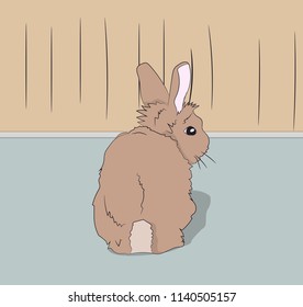 rabbit sitting in a room, vector