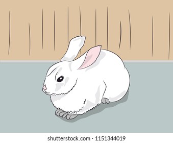rabbit sitting in a room, vector
