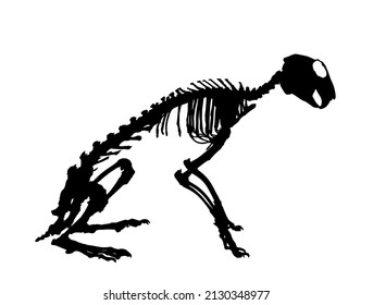 Rabbit skeleton vector silhouette illustration isolated on white background. Herbivore hare fossil symbol in museum of science and biology. Rabbit skeleton shape shadow.