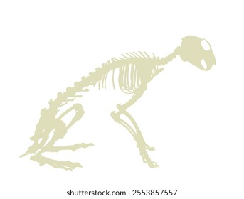 Rabbit skeleton vector silhouette illustration isolated on white background. Herbivore hare fossil symbol in museum of science and biology. Rabbit skeleton shape shadow.