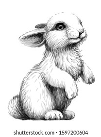 Rabbit. Sketch, artistic, graphic image of a rabbit on a white background. Wall sticker.