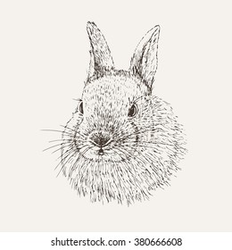 Rabbit sketch. Hand drawn vector illustration.