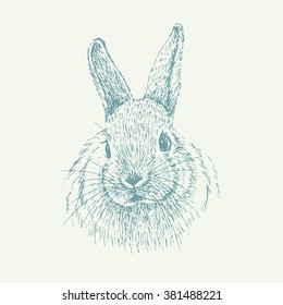 
Rabbit sketch. Hand drawn vector illustration.