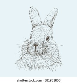 
Rabbit sketch. Hand drawn vector illustration.