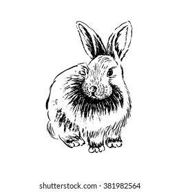 
Rabbit sketch. Hand drawn vector illustration.