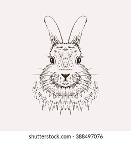 Rabbit sketch. Hand drawn vector illustration.