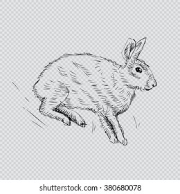 Rabbit. Sketchy style illustration.
