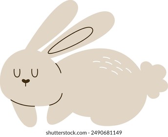 Rabbit Sleeping Animal Vector Illustration