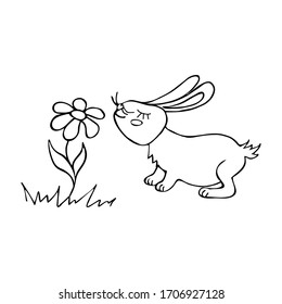 Rabbit sniffs a flower hand drawn black line. Hare is a wild animal.  Decoration. Coloring. Image for your decor and design. Stock vector illustration. Isolated object on a white background.