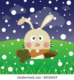 Rabbit with snow in the forest