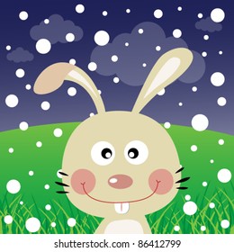 Rabbit with snow in the forest