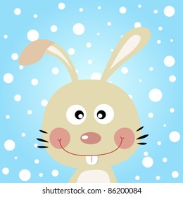 Rabbit with snowy background