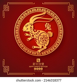 The Rabbit symbol chinese zodiac of vector