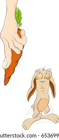 Rabbit and a tasty carrot