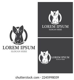 Rabbit template vector icon illustration design