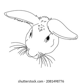 Rabbit thin line art. Home breeding of farm animals. Cute contour bunny. Pet shop logo, food label. Hand drawn realistic vector illustration. Isolated simple doodle element.