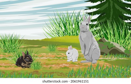 A rabbit and two bunnies are sitting in a clearing near a spruce tree. Rabbits in the habitat. Realistic vector landscape
