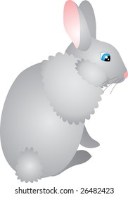 rabbit vector