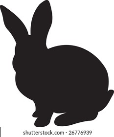 rabbit vector