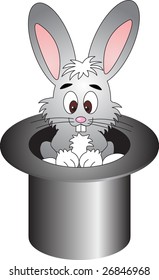 rabbit vector