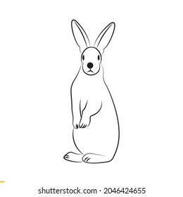 Rabbit Vector Art Graphics Template For Business And Company