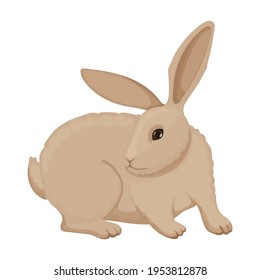 Rabbit vector cartoon icon. Vector illustration bunny on white background. Isolated cartoon illustration icon of rabbit.