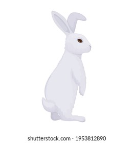 Rabbit vector cartoon icon. Vector illustration bunny on white background. Isolated cartoon illustration icon of rabbit.