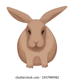 Rabbit vector cartoon icon. Vector illustration bunny on white background. Isolated cartoon illustration icon of rabbit.