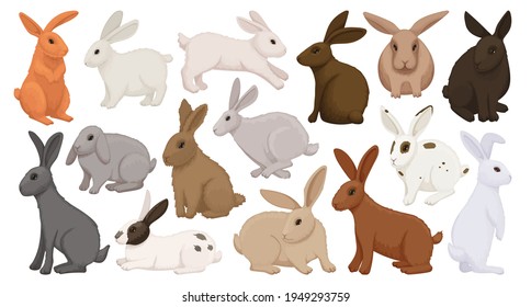 Rabbit vector cartoon icon set . Collection vector illustration bunny on white background. Isolated cartoon icon set fluffy rabbit for web design.