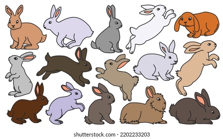 Rabbit vector color set icon. Isolated color set icon animal.Vector illustration rabbit on white background.