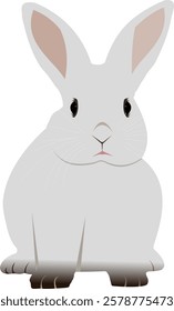 RABBIT VECTOR - DRAWING RABBIT