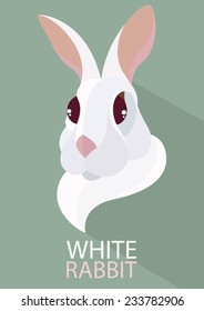 Rabbit vector flat design