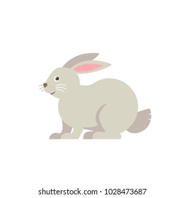 Rabbit vector flat illustration isolated on white background. Cute farm animal rabbit icon cartoon character.