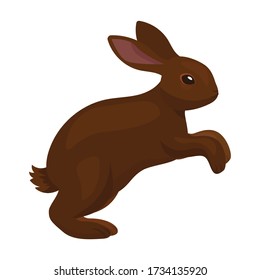 Rabbit vector icon.Cartoon vector icon isolated on white background rabbit.