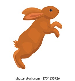 Icono de vector de conejo.Icono de vector de dibujos animados aislado en conejo de fondo blanco.