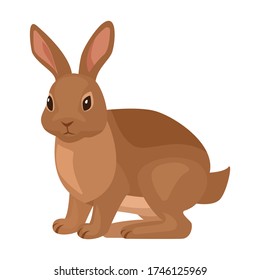 Rabbit vector icon.Cartoon vector icon isolated on white background rabbit.