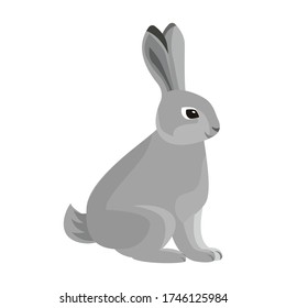 Rabbit vector icon.Cartoon vector icon isolated on white background rabbit.