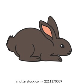 Kaninchen, Vektorsymbol.Farbvektorsymbol einzeln auf weißem Hintergrund, Kaninchen.
