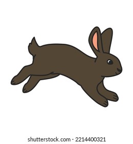 Icono de vector de conejo.Icono de vector de color aislado en conejo de fondo blanco.