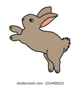 Rabbit vector icon.Color vector icon isolated on white background rabbit.