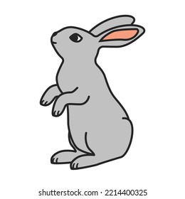 Icono de vector de conejo.Icono de vector de color aislado en conejo de fondo blanco.