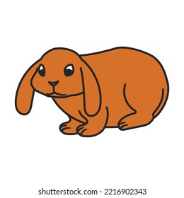 Rabbit vector icon.Color vector icon isolated on white background rabbit.