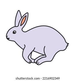 Rabbit vector icon.Color vector icon isolated on white background rabbit.