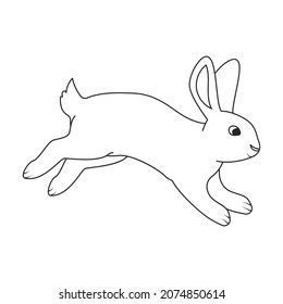 Rabbit vector icon.Outline vector icon isolated on white background rabbit.